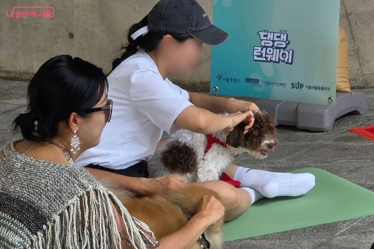 반려견의 귀를 마사지 해주니 반려견이 매우 편안해 했다. &copy;김민지