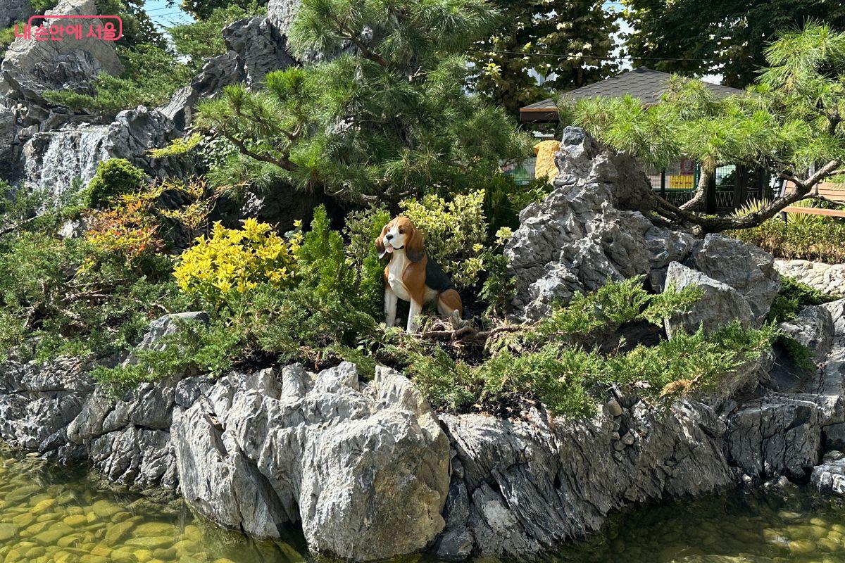 폭포 바위 위에 놓인 다양한 강아지 조형물이 귀엽다. ©김재형
