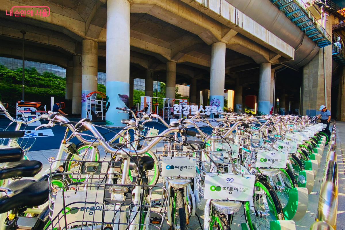 헬스장 바로 앞에 따릉이 대여소가 있어 자전거를 이용한 접근이 매우 편리하다. ©양정화