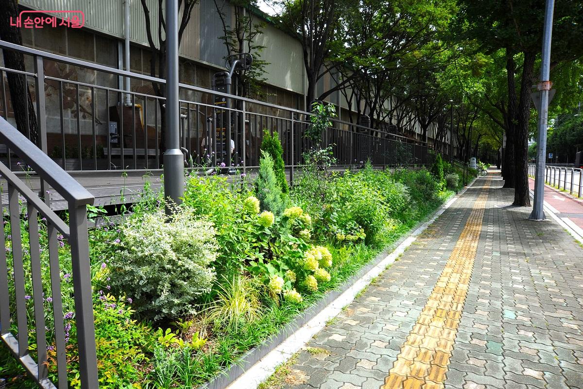 일반 보행로를 걸으며 &lsquo;석계치유정원&rsquo;의 초화류 화단을 감상할 수 있다. &copy;조수봉