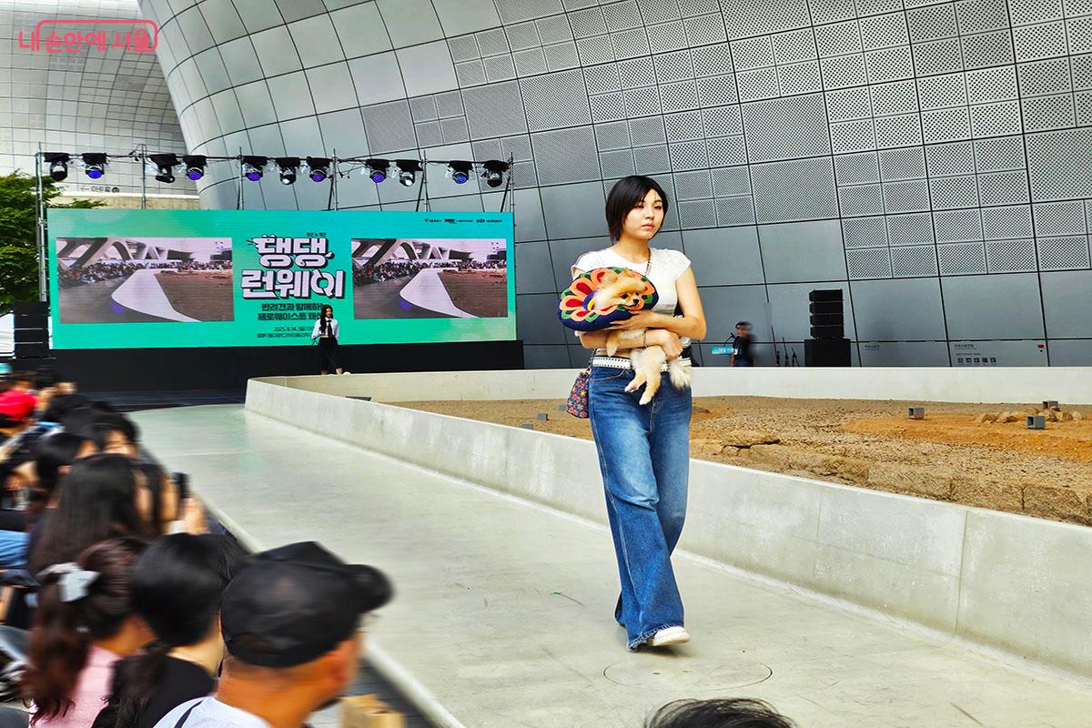 품안에 안겨 런웨이를 걷는 유기견(몽실이)과 모델 ©이정민