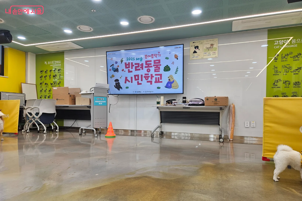 행동교정 교육이 진행되는 2층 교육실 내부 &copy;이혜린