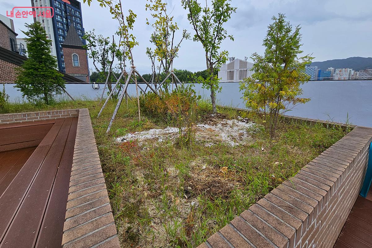 계절마다 변하는 하늘빛과 식물은 어르신들의 하루에 작은 행복과 활력을 더해준다. ©이혜숙