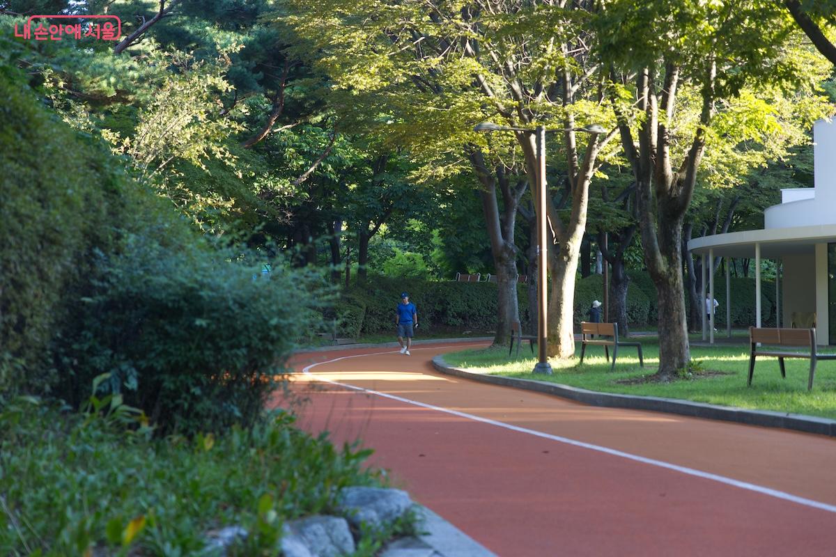 신트리공원을 크게 돌아볼 수 있는 트랙도 전면 개편된 모습 ©임중빈