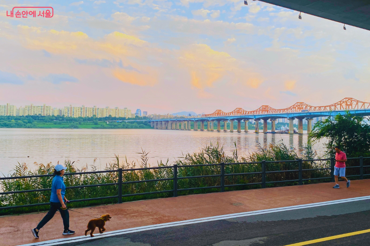 보행로에서는 우측통행을 지키는 것이 모두의 안전을 위한 기본 약속이다. ©양정화