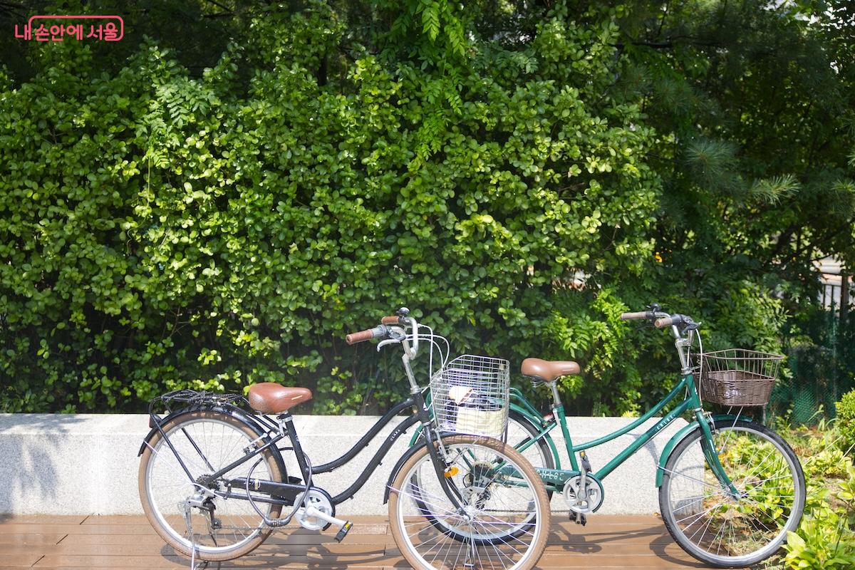 파믹스가든은 도심 속 숨겨진 녹지로 일상 속 스트레스를 해소할 수 있는 소중한 장소이기도 하다