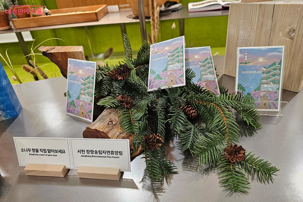 장항송림자연휴양림은 도시의 분주함에서 벗어나 잠시 머무를 수 있는 평화의 오아시스이다. ©이혜숙