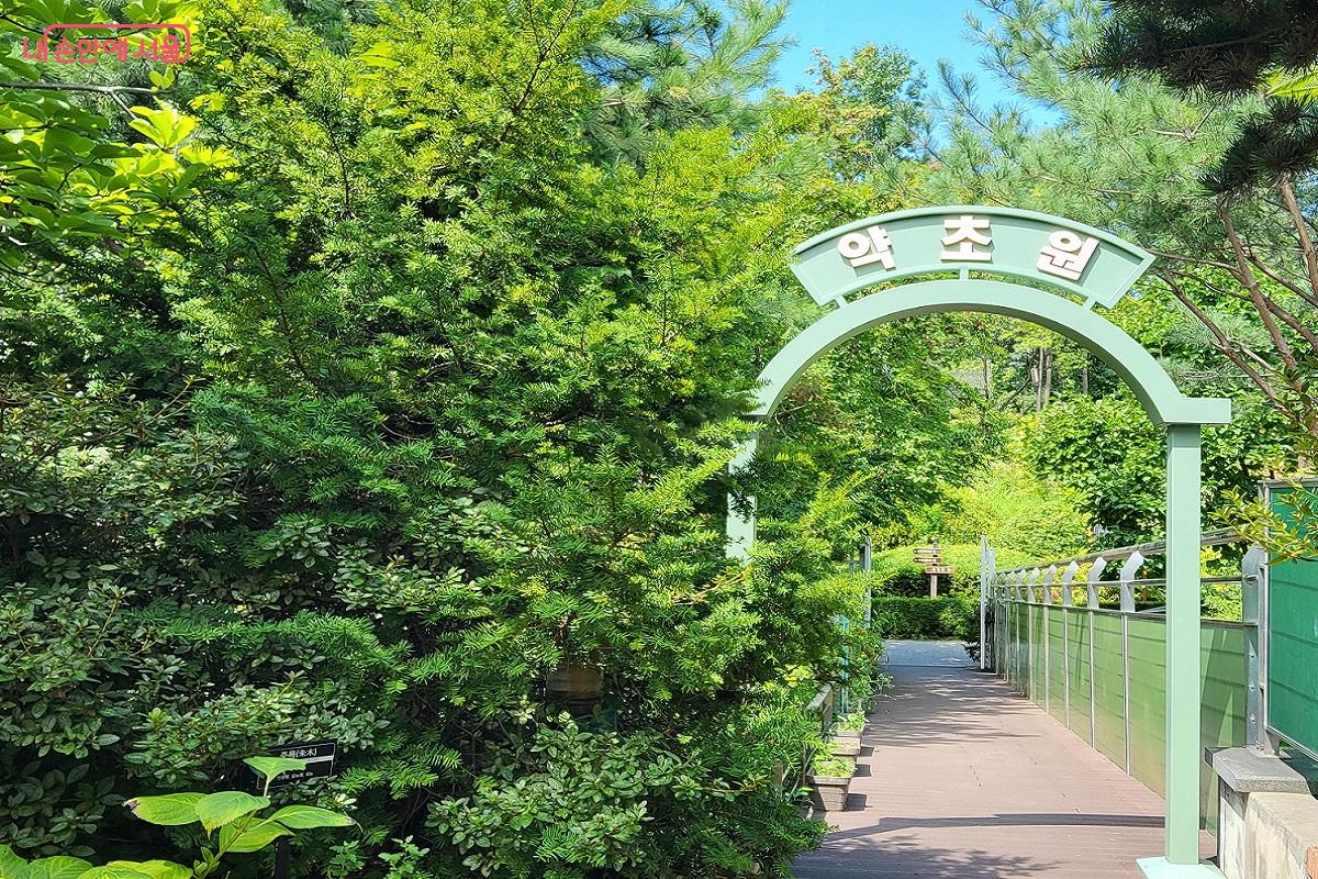 <동의보감>에 기록된 약초를 직접 재배하는 박물관 옥상과 연결된 약초원 &copy;이상돈