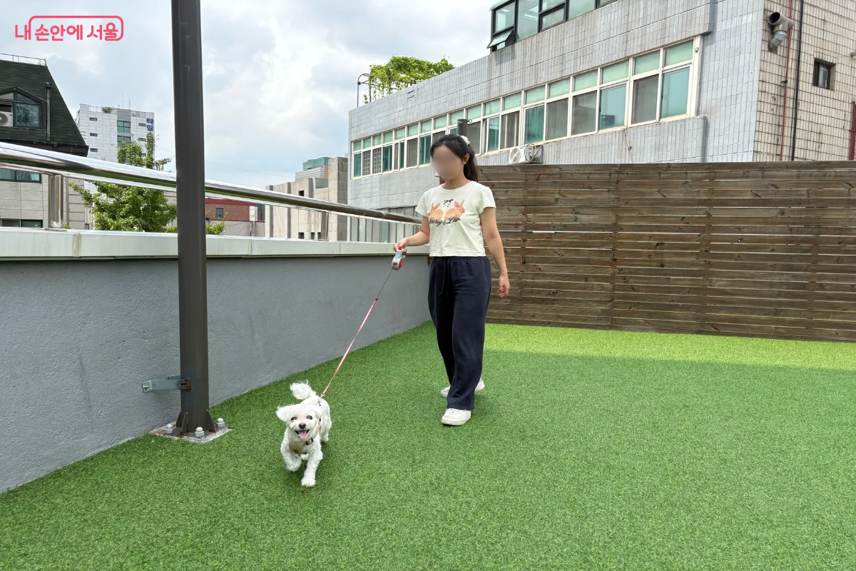 산책을 하고 있는 반려견 &copy;이혜린
