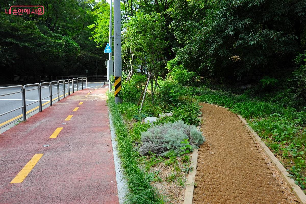 자전거도로와 산책로 틈새의 작은 공간에는 &lsquo;가로정원&rsquo;을 조성했다. &copy;조수봉