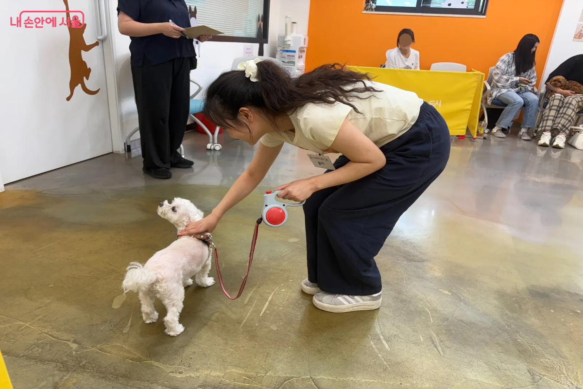 반려견과 함께 사회화 훈련에 참여했다. &copy;이혜린