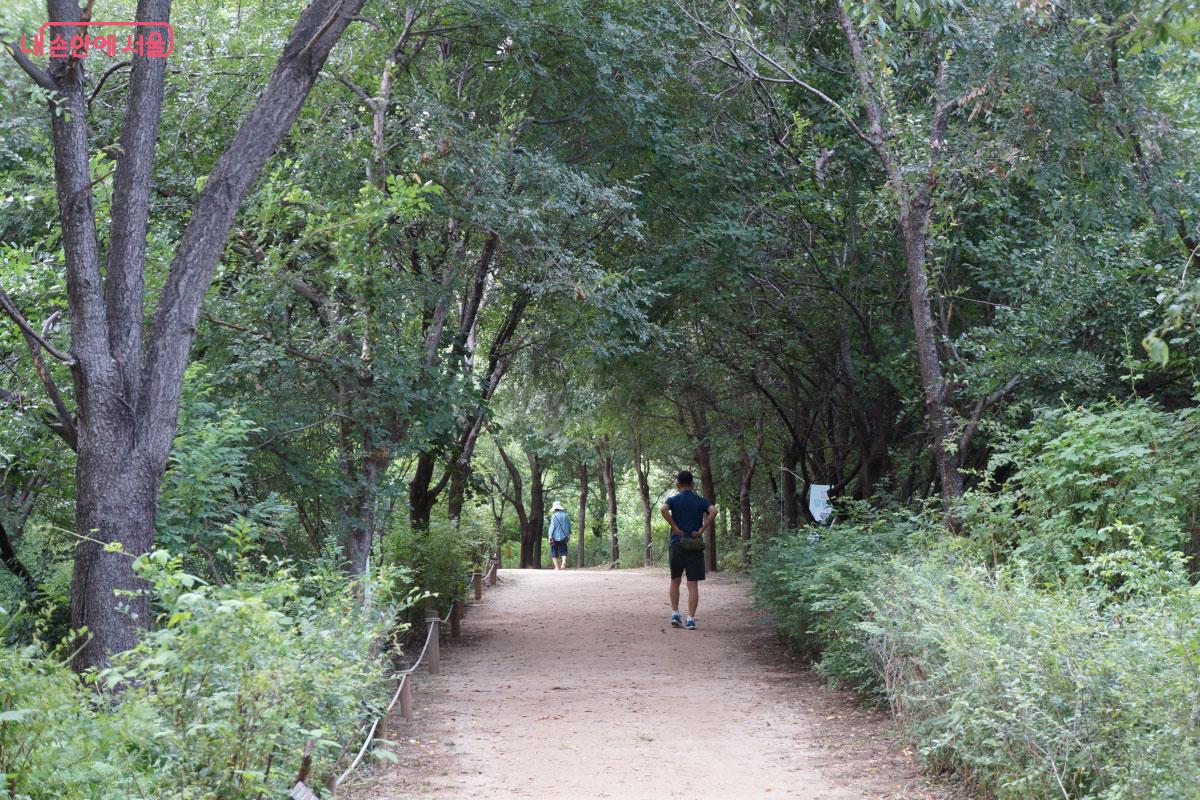 자연 그대로의 산책길 ©홍혜수   