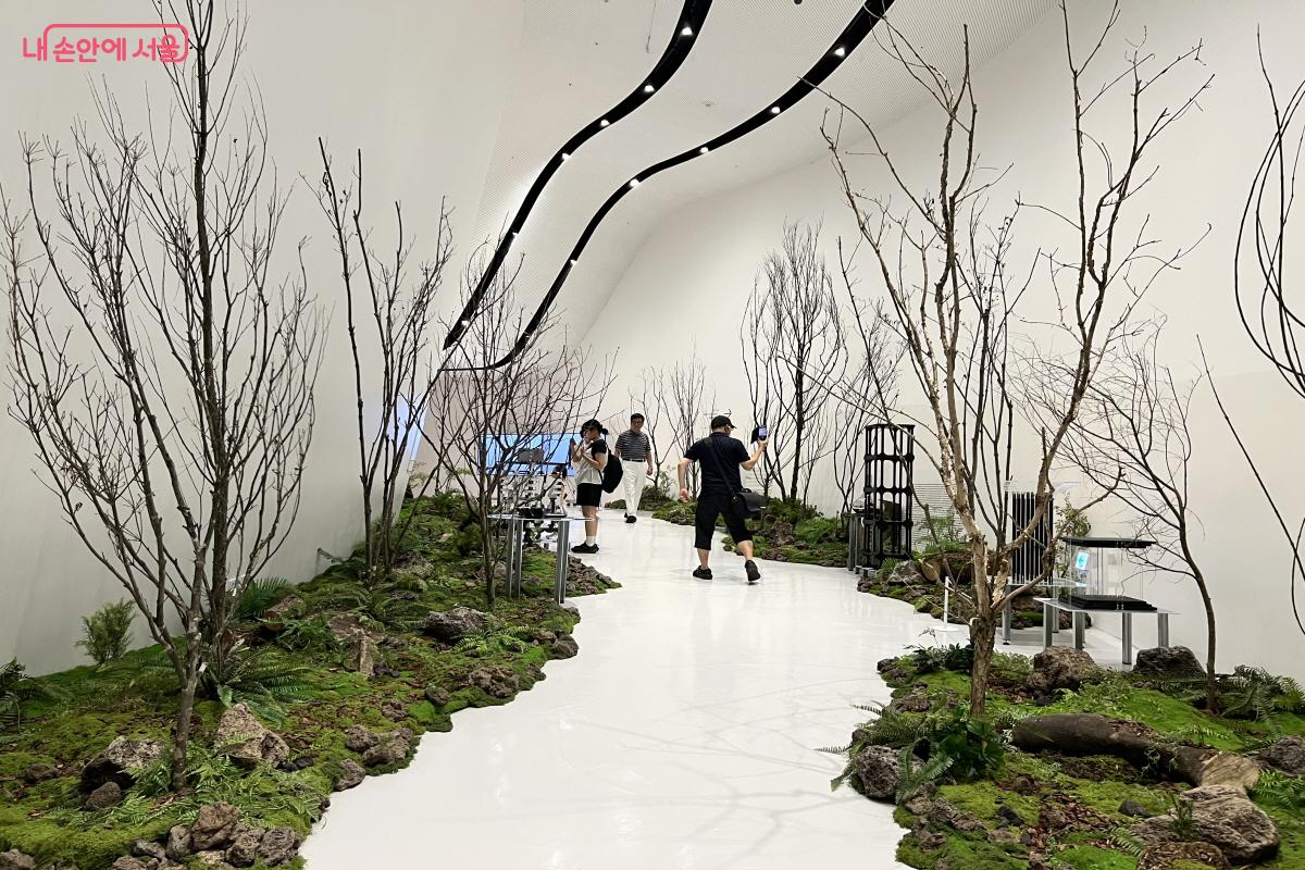 실내지만 자연물이 주는 정서를 그대로 느낄 수 있다. &copy;박지영