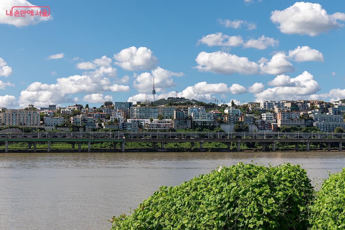 한강 너머 빌딩숲이 보이고 멀리 N서울타워까지 보여 아름다운 모습이다. ⓒ문청야