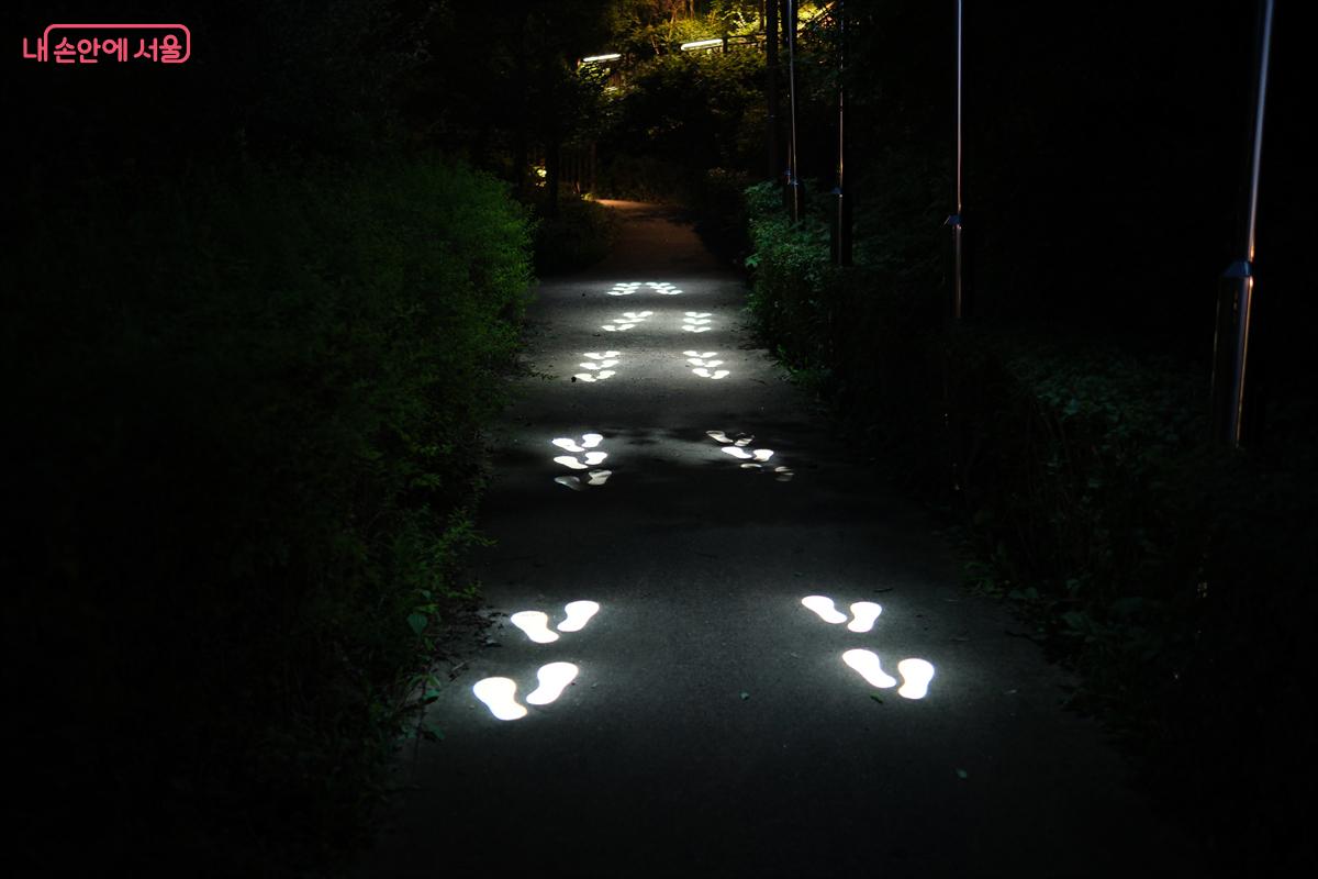 내려 오는 길에 다시 만난 발자국 조명길을 따라 걸어보는 것도 좋겠다. ©박우영