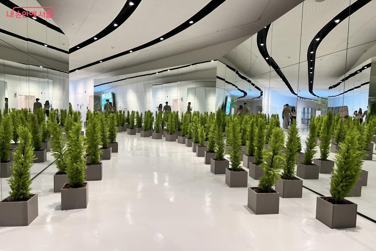 정원에서 숲의 정서로 이어지는 시각적 체험이 새로웠다. &copy;박지영