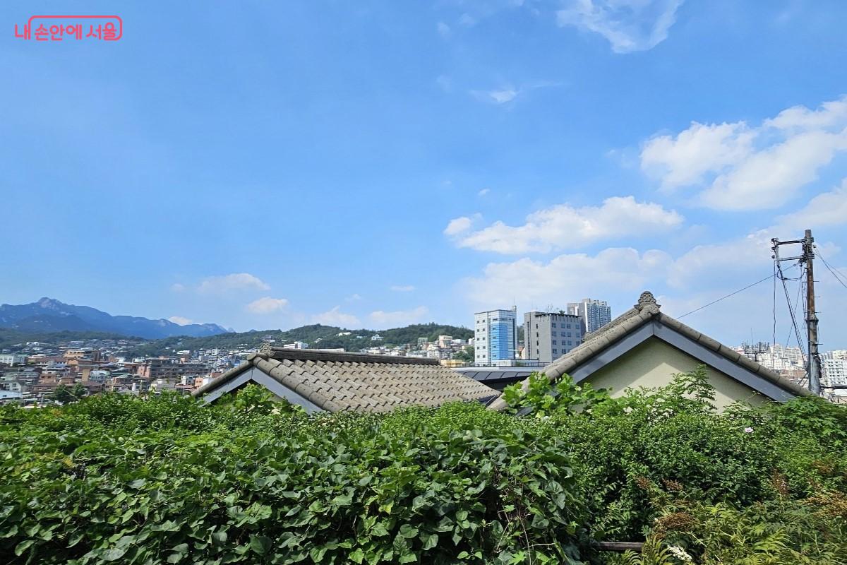 멀리 북한산과 한성대입구역 일대가 내려다 보이는 마을 전경 ©최정윤