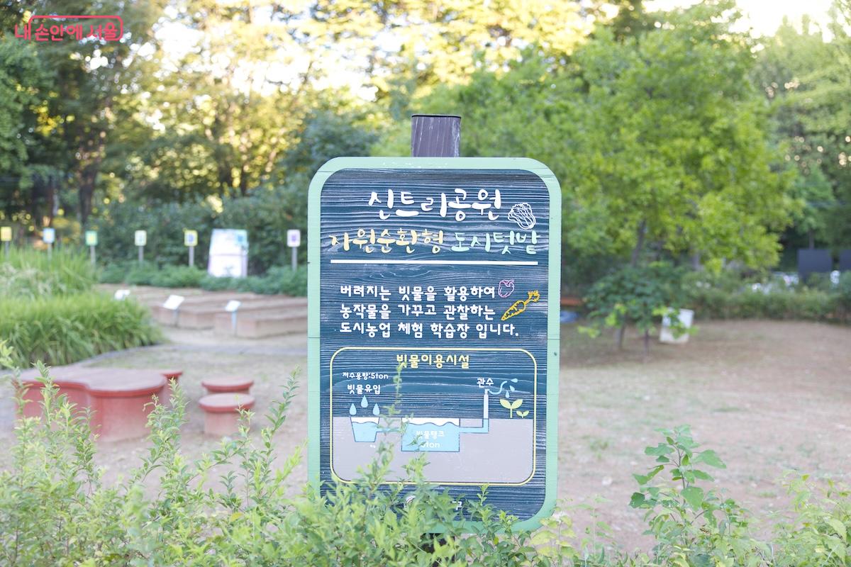 신트리공원 내 자원순환형 도시텃밭은 그대로 유지되고 있다. ©임중빈