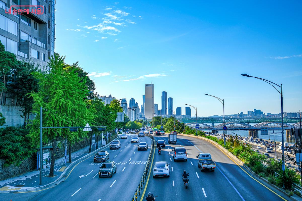 효사정에서 바라본 여의도 풍경 ©박우영