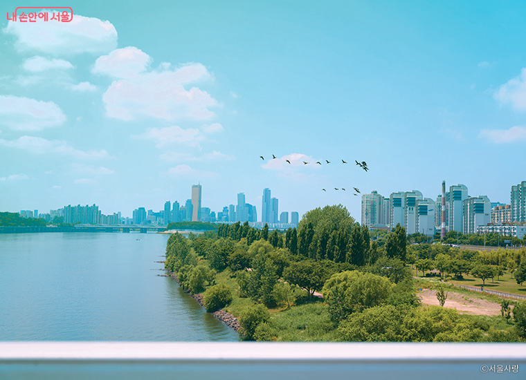 한국 문화를 즐기는 외국인에게는 한강이 ‘서울 감성’을 느낄 수 있는 장소로 여겨진다. 사진은 동작대교 북단