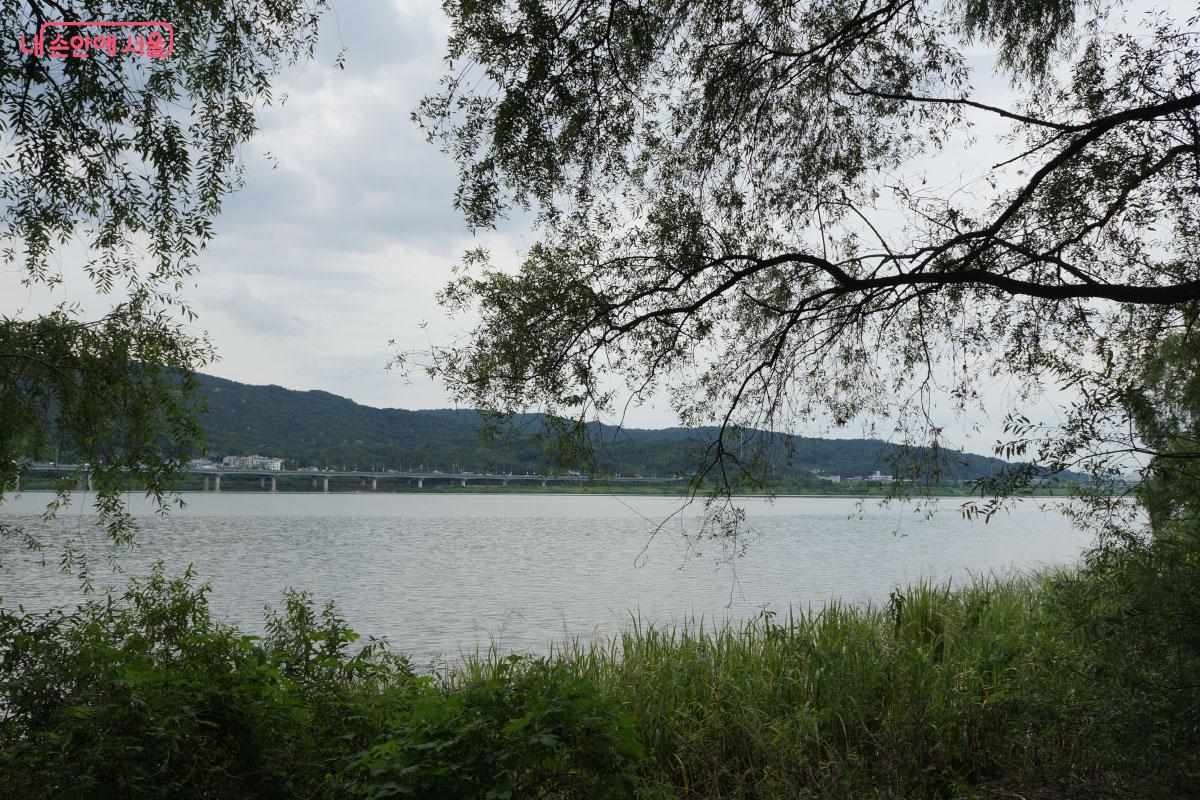  탁 트인 한강을 구경할 수 있다. ©홍혜수