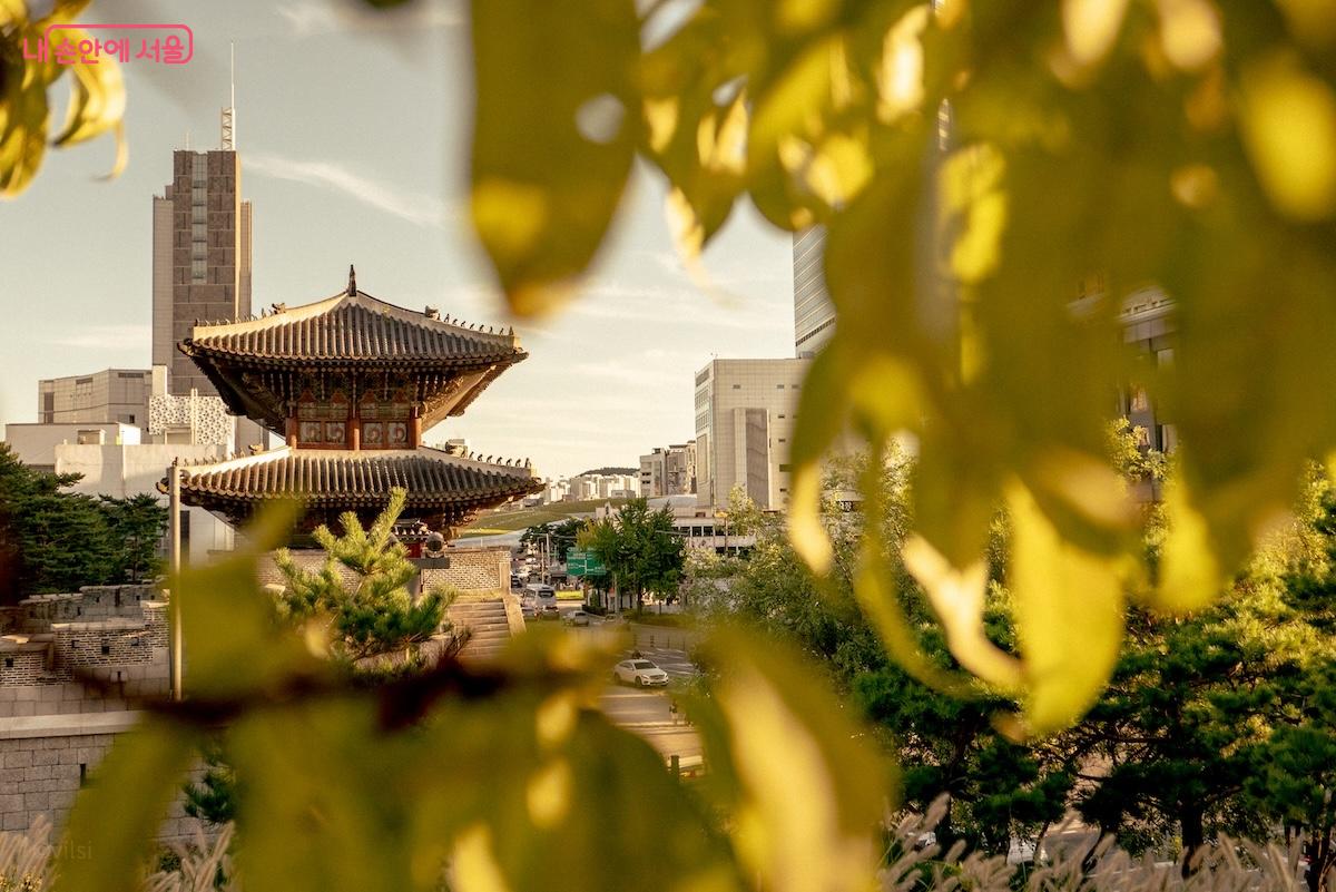 조선시대의 성문, 흥인지문은 한양 도성의 동쪽에 있다.