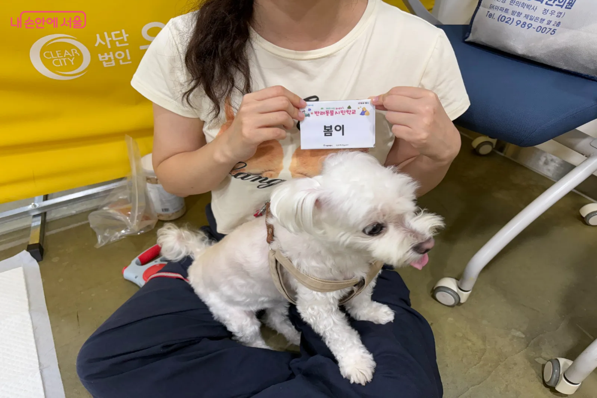 '서울 반려동물 시민학교' 프로그램 중 '행동교정 교육과정' 수업을 들었다. &copy;이혜린