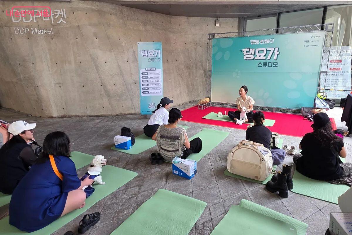 참가자들이 반려견과 함께 요가를 하고 있다. &copy;김민지