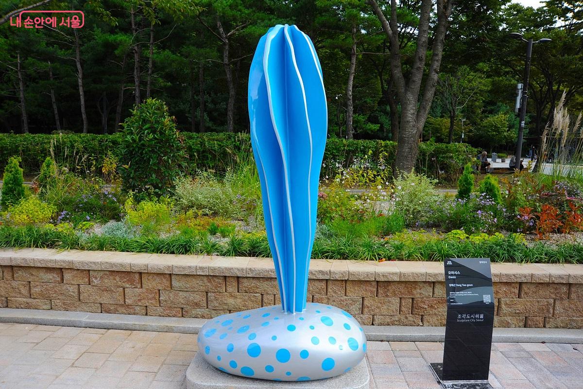 양태근 작가의 <오아시스> &copy;조수봉