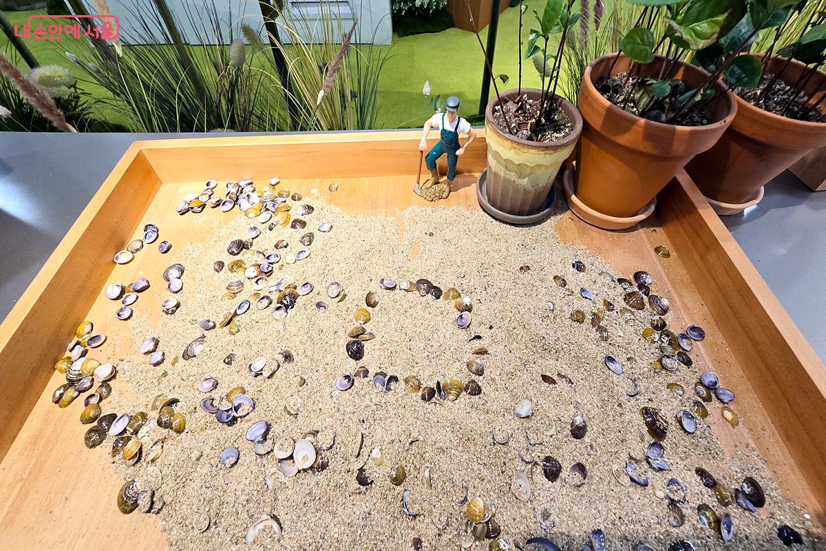 섬진강 모래와 재첩 ©김윤경