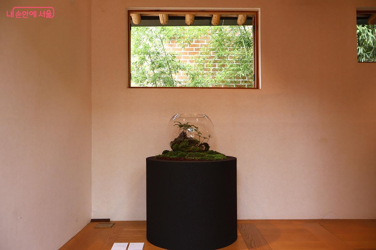 자연을 유리병에 담아 생경한 장면을 표현함으로 고요한 마음으로 대상을 관찰하고 이해하는 경험을 선사한다. ©이봉덕