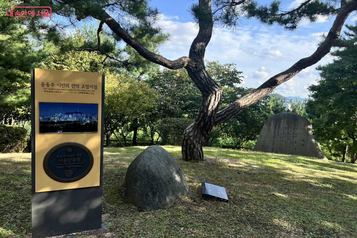 시인의 언덕은 멋진 서울의  밤 풍경을 담을 수 있는  장소이기도 하다. ©박지영 