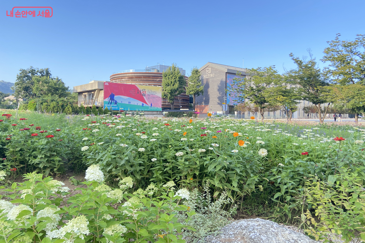 열린송현녹지광장이 꽃들로 가득찬 모습 ©김경선