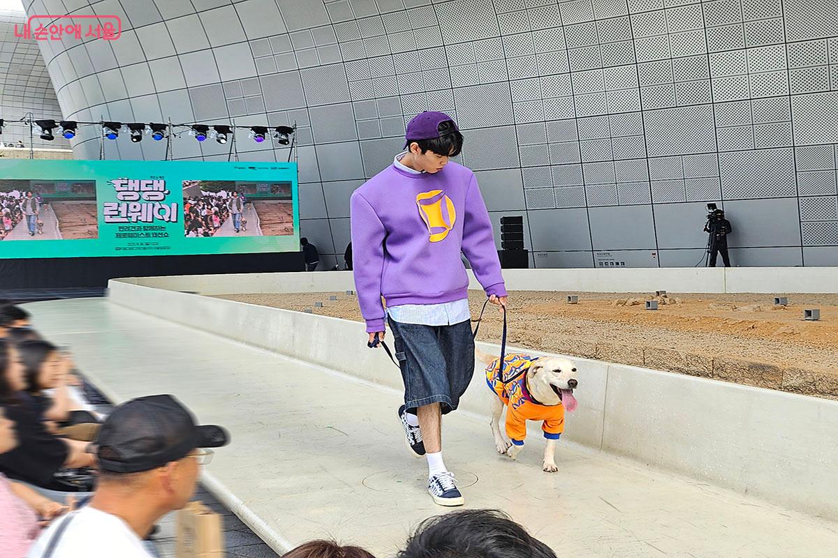 컬러풀한 패션을 선보이며 환하게 웃는 유기견(홉스)의 런웨이 ©이정민