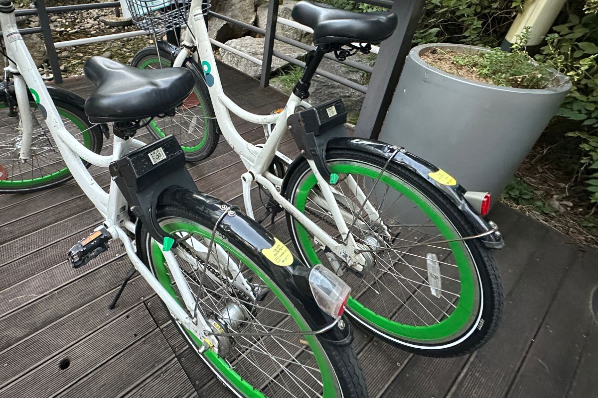 '따릉이 가족권'으로 13세 미만도 따릉이 편리하게 대여해요! 