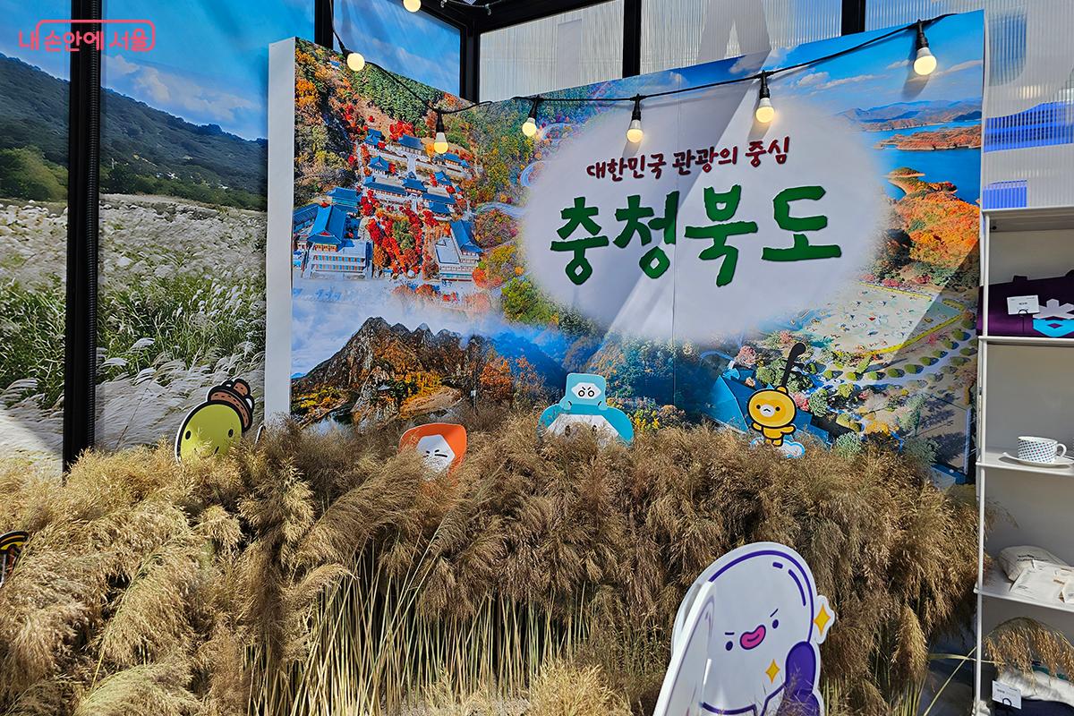 충청북도는 대한민국 관광의 중심으로서 자연과 문화가 조화를 이루는 특별한 지역이다. ©이혜숙