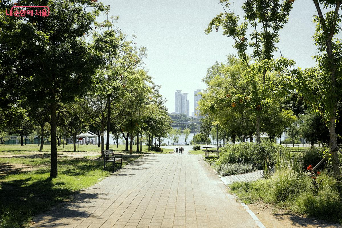 조금씩 가을빛으로 물들어가는 뚝섬한강공원 전경 ©김아름