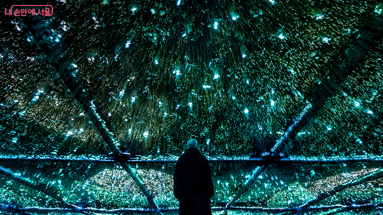 [레이저아트] 우리가 초원을 떠난 날_툰드라(TUNDRA), 몰입형 오디오-비주얼 설치, 2025