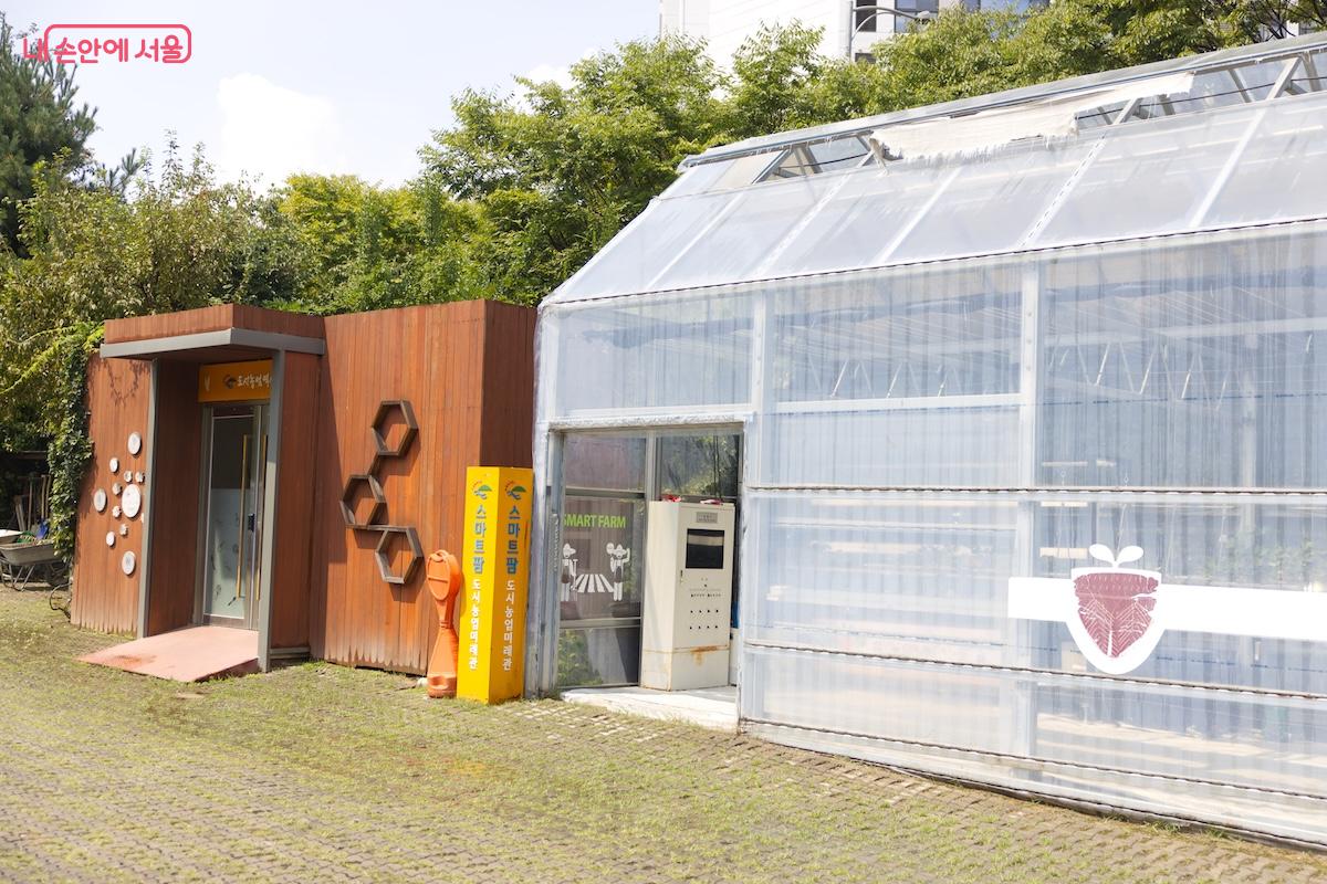 야외에도 작지만 알찬 스마트팜 시스템이 구축되어 있다