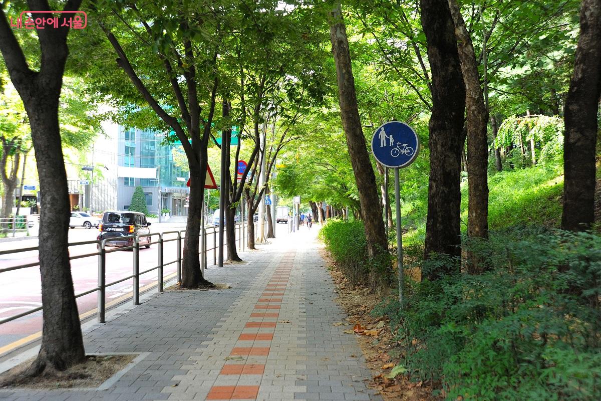 서남환경공원의 자전거도로는 보행로(산책로)와 겸용 도로였다. &copy;조수봉