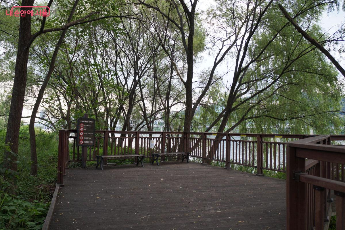 한강을 볼 수 있는 전망대 ©홍혜수