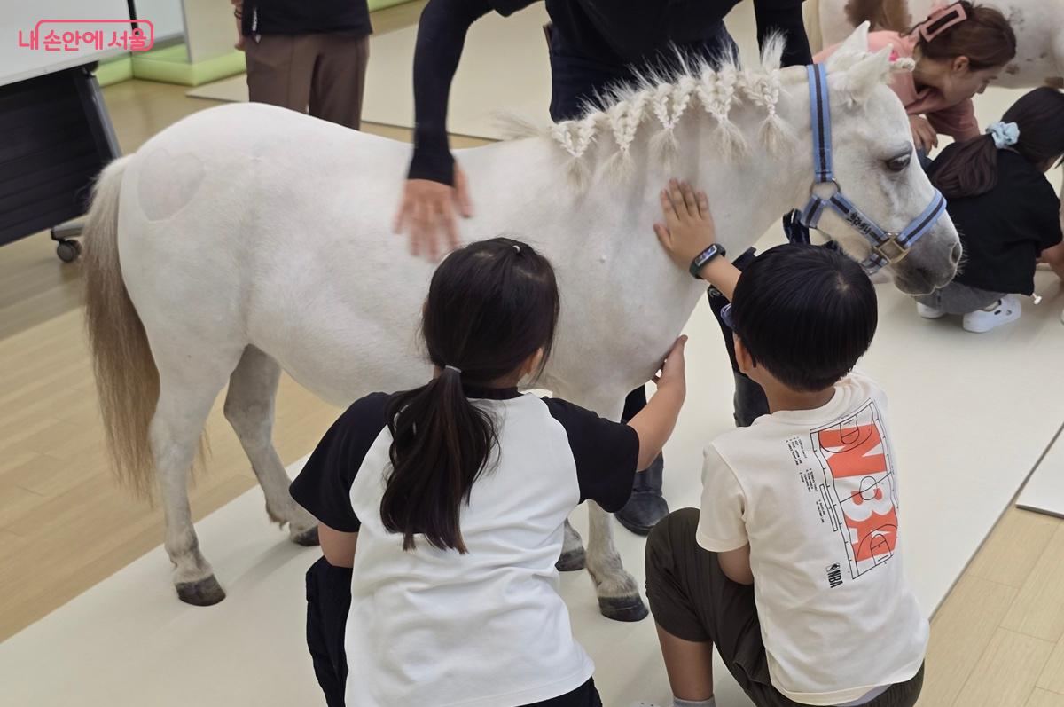 아이들이 말의 신체 부위를 조심스럽게 만져본다. ©조성희