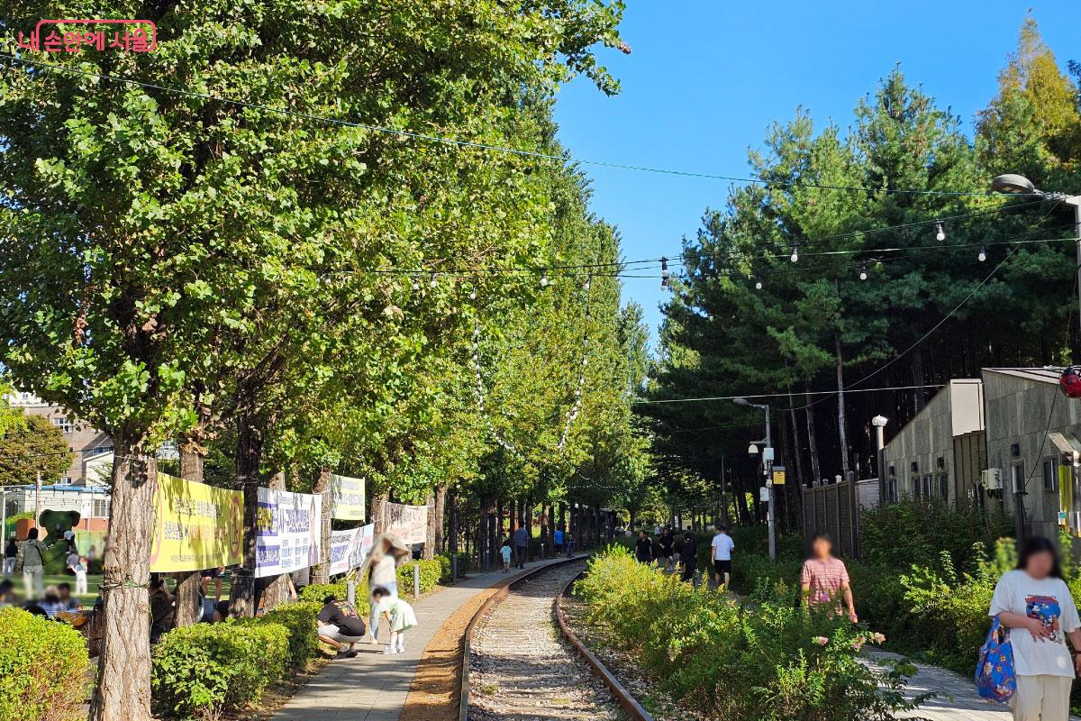  경춘선숲길의 산책로 ©홍혜수   