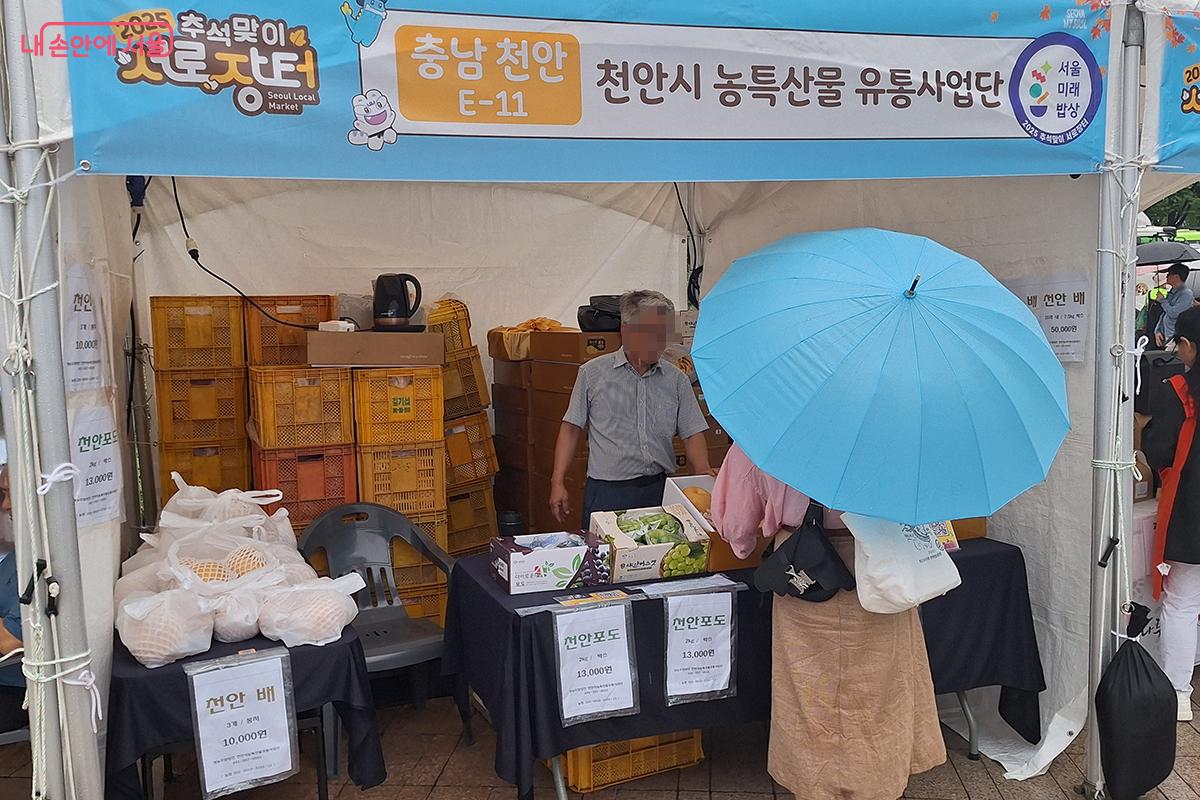 충남 천안 농특산물 유통사업단은 천안 배와 천안 포도를 대량으로 매수해 저렴한 가격으로 소비자들에게 공급한다. ©백승훈