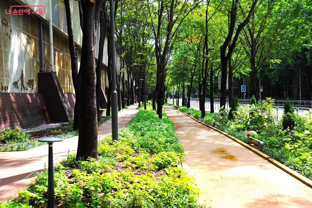 &lsquo;석계치유정원&rsquo;의 산책로와 황톳길은 키 작은 초화류 화단이 경계를 이루고 있다. &copy;조수봉