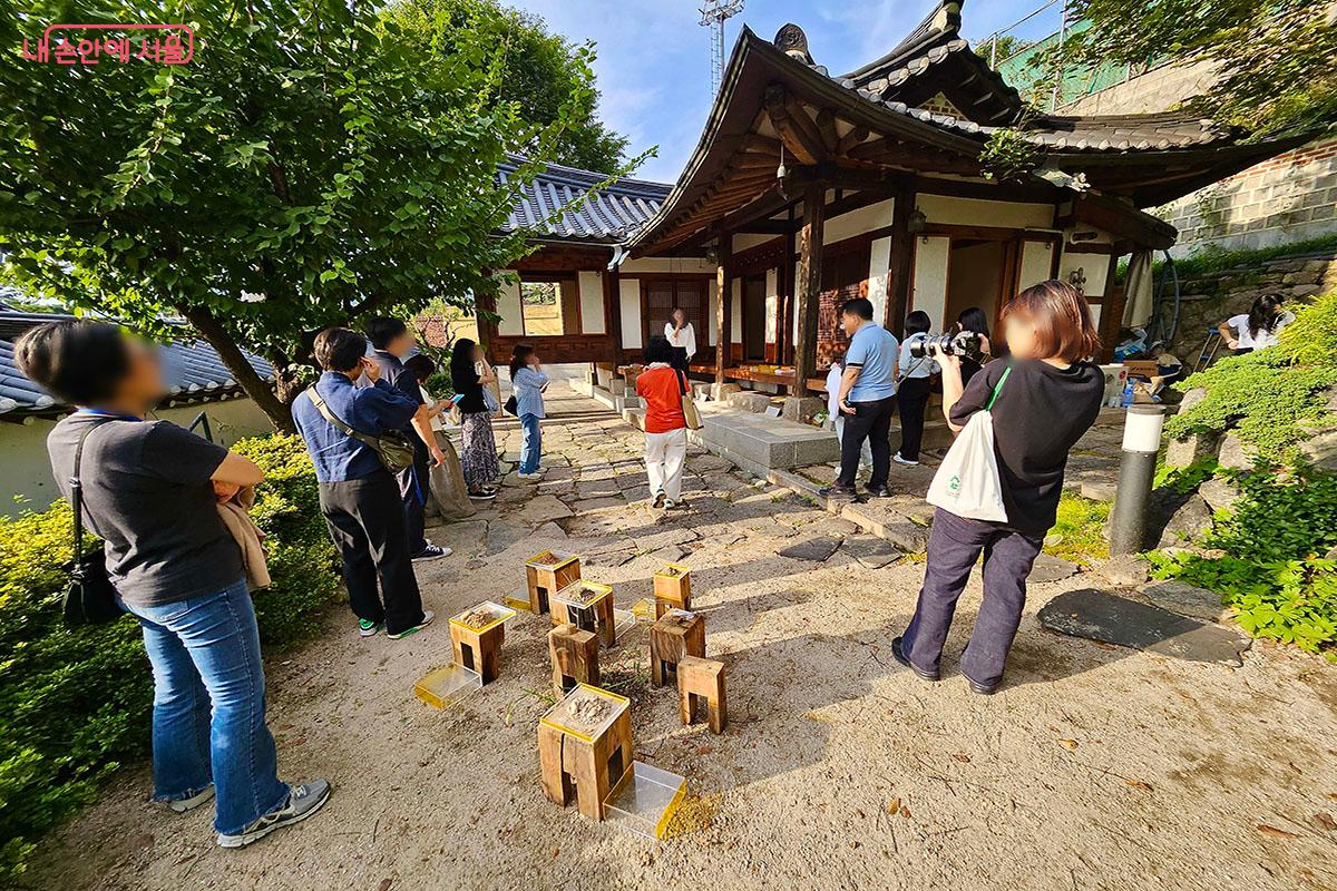 흙의 건조함, 주변에서 날아온 씨앗의 발아, 한옥에서 살아가는 자연을 담은 북촌마을서재 ©이정민