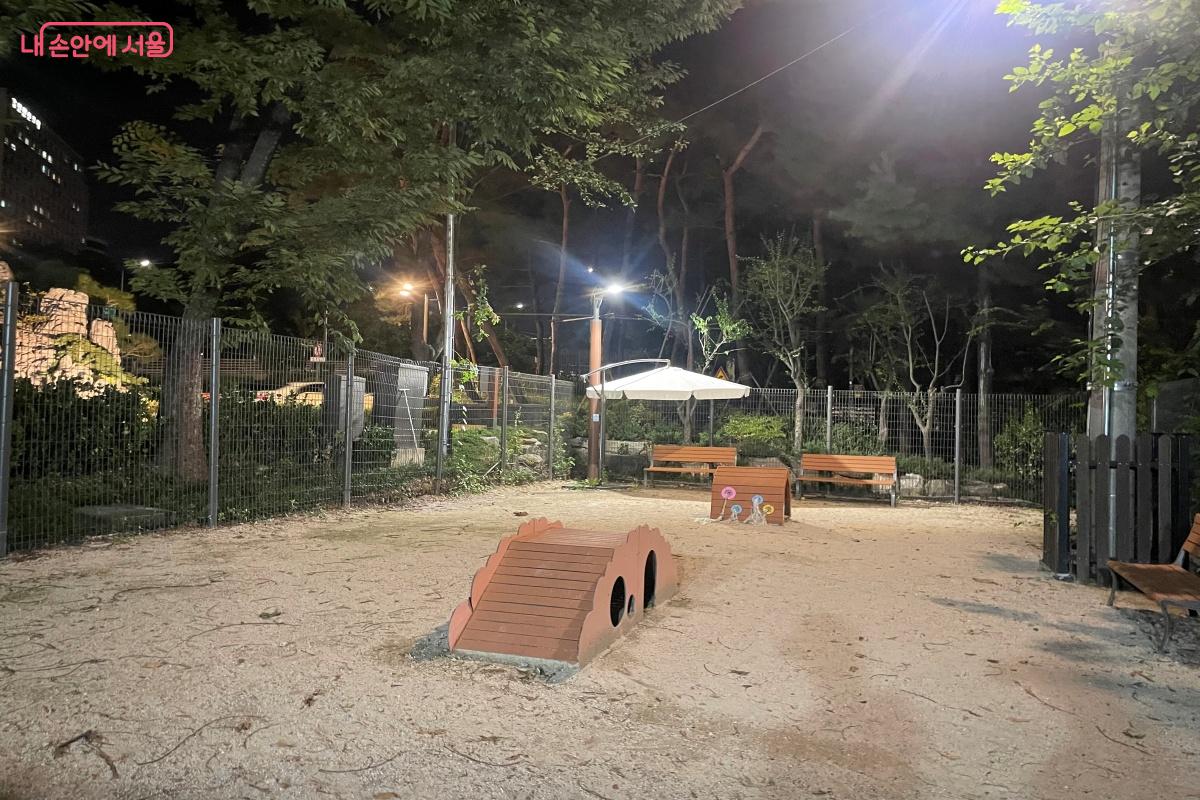 강아지들이 자유롭게 뛰놀 수 있는 댕댕이 놀이터 ©노윤지