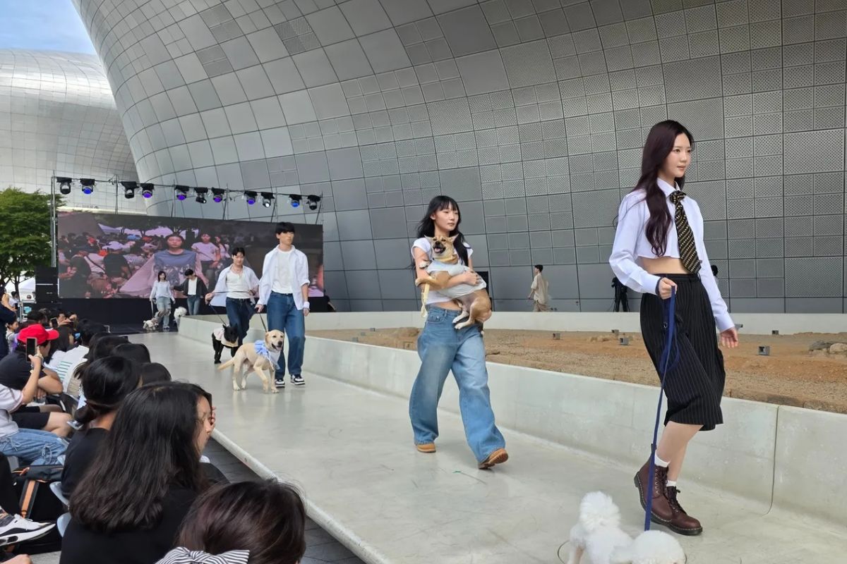 9월 14일 DDP에서 이색 패션쇼 '댕댕 런웨이'가 열렸다. &copy;김민지