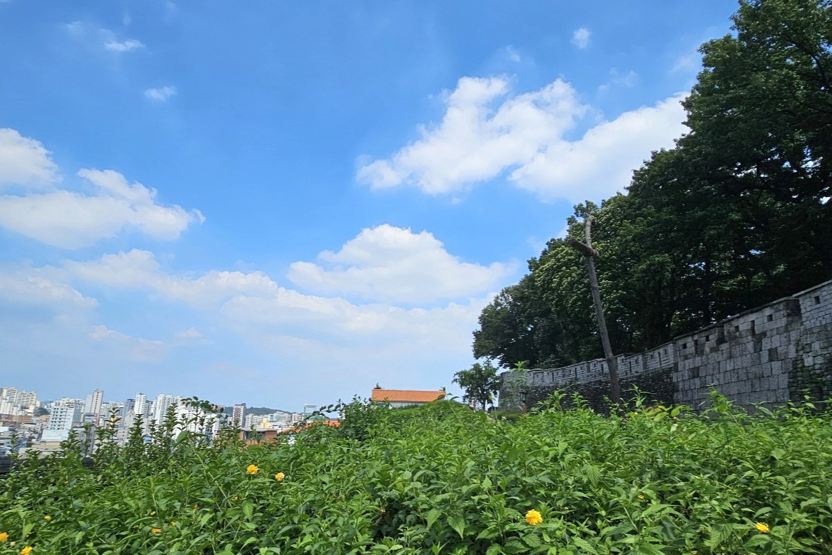 다정한 마을 풍경 속 어머니의 정이 듬뿍~ '369마을'과 '어머니 밥상'