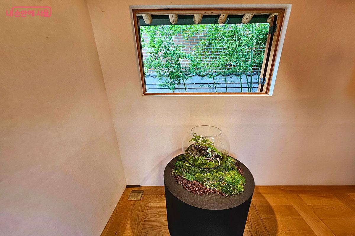 유리의 안과 밖의 경계, 섬세하게 바라볼 수 있는 유리 속 자연 '테라리움' ©이정민